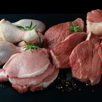 قطعه کار مرغ وماهی