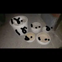 گلدان جای سبزه