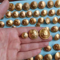 مجموعه شیر و خورشید ( دکمه ها و سکه های پهلوی )