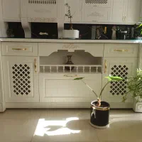 جزیره جنس کار چوب