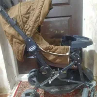 کالسکه ی دلیجان اصل