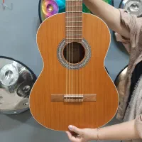 گیتار پارسی m5 cut و m5 کلاسیک|گیتار، بیس، امپلیفایر|پردیس, فاز ۲|دیوار