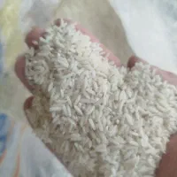 فروش برنج لاشه ونیم دانه هاشمی عطری در خدمت هستم|خوردنی و آشامیدنی|ماهدشت, |دیوار