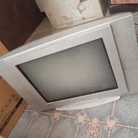 تلویزیون