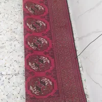 فرش دست بافت محلی|فرش|مرودشت, کوشک|دیوار