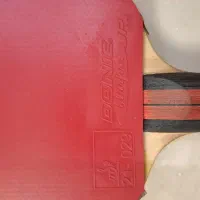 راکت پینگ پنگ دونیک|ورزشهای توپی|تهران, ونک|دیوار