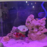 اکواریوم ابشور کامل با ماهی