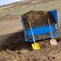 کود حیوانی برای کشاورزی|گل و گیاه طبیعی|مشگین شهر, |دیوار