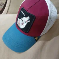 کلاه کپ|کیف، کفش، کمربند|همدان, |دیوار