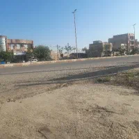 فروش زمین صد متری در دانه های روغنی