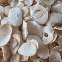 موسیر خشک