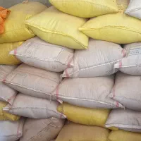 گندم|گل و گیاه طبیعی|صادق آباد, |دیوار