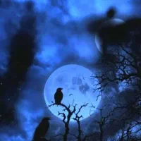 زمین کشاورزی منطقه علی آباد چهل گزی