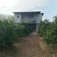 باغ-لب-جاده-اصلی-با-تمام-امکانات