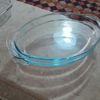 دوعدد مرغ خوری بیضی