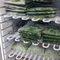 انواع سبزی ترشی و..