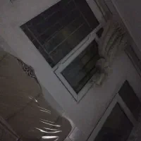 دو عدد خروس قرمز چهل تاج عکسشو ندارم