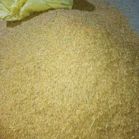 چلتوک|حراج|شیروان (لرستان), |دیوار