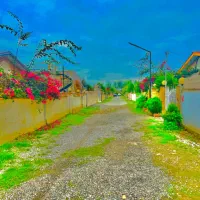 زمین مسکونی شهرکاصیل ق ساخت با مجوز سند۶دانگ|فروش زمین و ملک کلنگی|نور, |دیوار