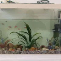 فروش آکواریوم