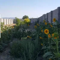 باغ