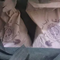 گلدان و...|گل و گیاه طبیعی|پاکدشت, پاکدشت (مامازند)|دیوار