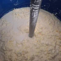 کر ه گاو|خوردنی و آشامیدنی|مسجد سلیمان, |دیوار