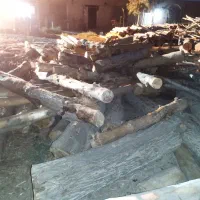 خرید چوب|خدمات باغبانی و درختکاری|ورامین, ورامین|دیوار