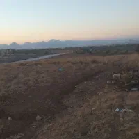 فروش زمین باغی