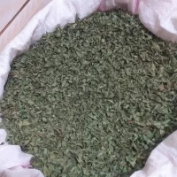 برگ  حنا..|صنایع دستی و سایر لوازم تزئینی|خورموج, |دیوار