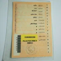 سمند 91 بیرنگ /شاسی پلمپ/عتیقه/ کارمندی|خودرو سواری و وانت|سنندج, |دیوار