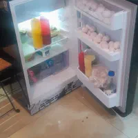 مینی یخچال کلور نو نو