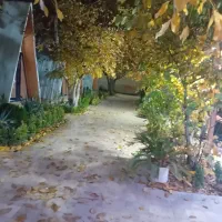 فست فود زن حرفه ای و نیروی کار ساده