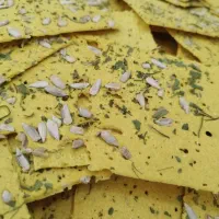 نان چیپسی خوشمزه|خوردنی و آشامیدنی|شیراز, شیخ علی چوپان|دیوار