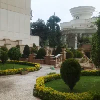 خدمات باغبانی وفضای سبز،هرس، چمن‌زنی،کاشت ونگهداری