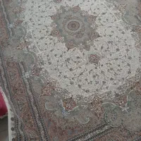 ۲ تخته ۹ متری  ۷۰۰ شانه  تراکم  ۲۵۵۰ شاهکار زرتشت