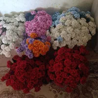 گل فوم قابل شست و شو
