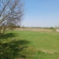 ۵۰۰مترزمین همراه سویت سنگررشت|فروش زمین و ملک کلنگی|سنگر, |دیوار