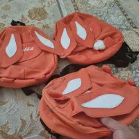 کیف در حد نو|کیف، کفش، کمربند|سقز, |دیوار