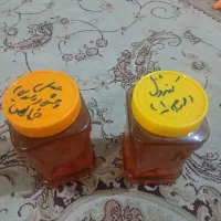 عسل کوهی خالص