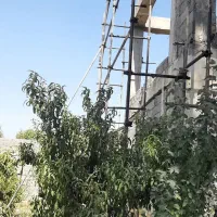 داربست فلزی محمدی تمام نقاط تهران|خدمات پیشه و مهارت|تهران, استاد معین|دیوار