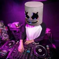 موزیک مجالس(Dj خواننده)