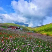 راهنمایی