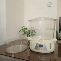 بخار پز سانی