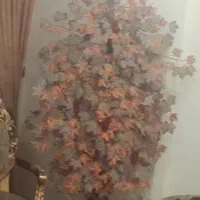 درختچه پاییزی به قیمت پادری