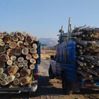 خرید چوب با بالاترین قیمت روز|خدمات باغبانی و درختکاری|سیلوانه, |دیوار