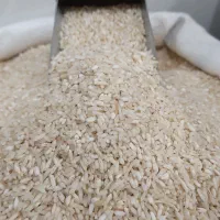 برنج سرلاشه معطر هاشمی