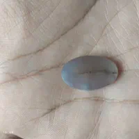 نگین انگشتر شجر کارگاهی