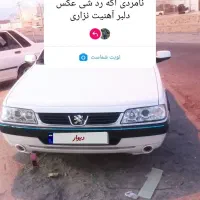 ۴۰۵اس لیکس