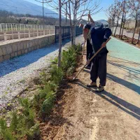 انجام امور باعبانی و فضای سبز|خدمات باغبانی و درختکاری|شیراز, شهرک فرزانگان|دیوار